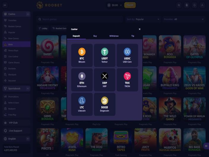 Review for Roobet - Pr